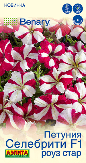 Петуния Селебрити F1 роуз стар многоцветковая Петуния Селебрити F1 роуз стар многоцветковая