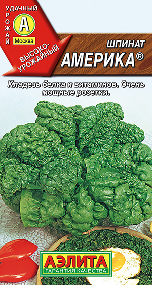 Шпинат Америка Шпинат Америка