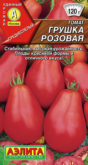 ����� ������ �������