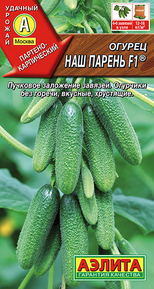 Огурец Наш парень F1 ® Огурец Наш парень F1 ®