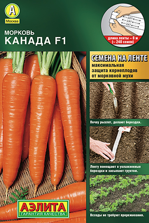 ������� ������ F1