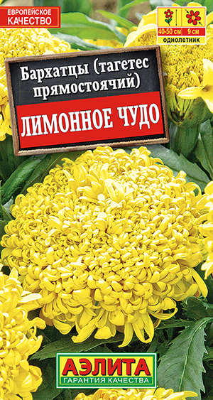 �������� �������� ���� ������������