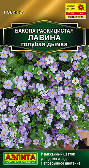 Бакопа раскидистая Лавина голубая дымка Бакопа раскидистая Лавина голубая дымка