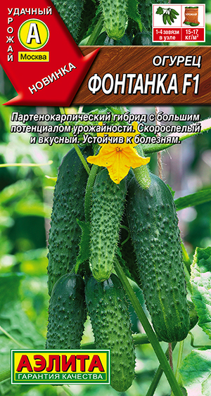 ������ �������� F1