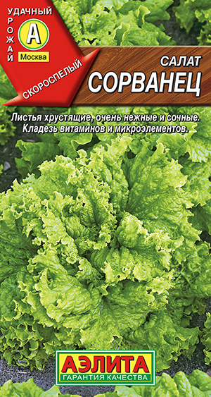 ����� �������� ��������