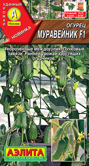 Огурец Муравейник F1 Огурец Муравейник F1