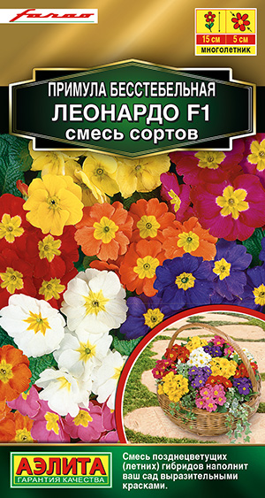 ������� �������� F1, ����� ������