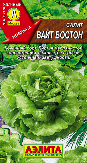 ����� ���� ������