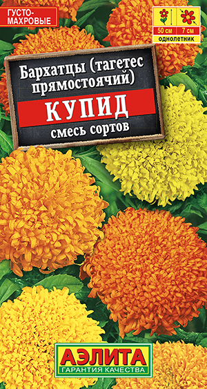 �������� ����� ����������������, ����� ������