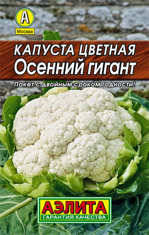 ������� ������� ������� ������