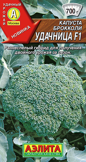 ������� �������� �������� F1