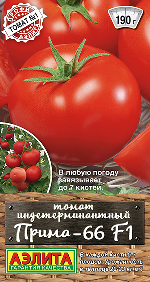 ����� �����-66 F1