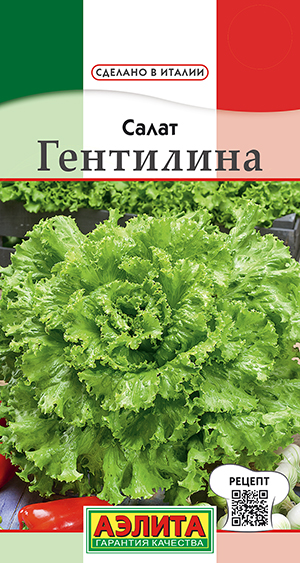 Салат Гентилина Салат Гентилина