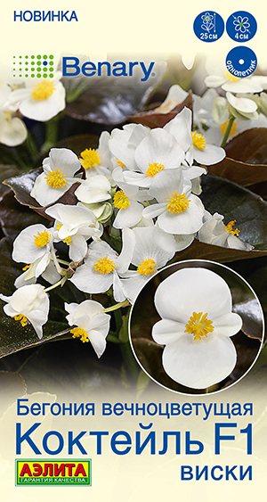 Бегония вечноцветущая Коктейль F1 виски Бегония вечноцветущая Коктейль F1 виски