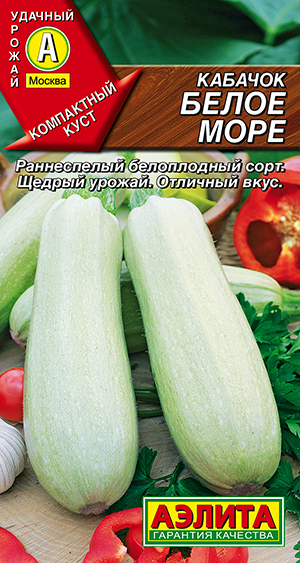 Кабачок белоплодный Белое море Кабачок белоплодный Белое море