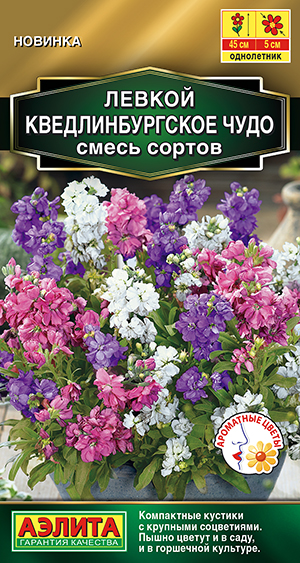 Левкой Кведлинбургское чудо, смесь сортов Левкой Кведлинбургское чудо, смесь сортов