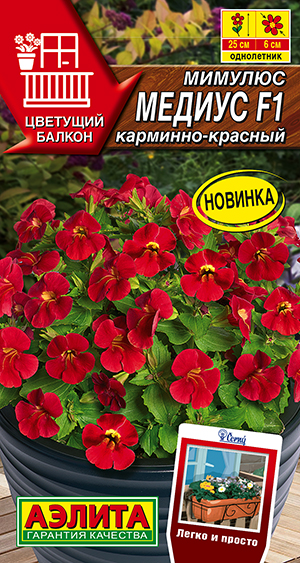 ������� ������ F1 ��������-�������