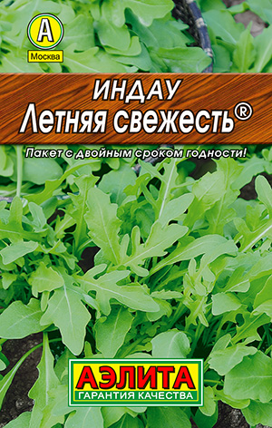 Индау (руккола) Летняя свежесть Индау (руккола) Летняя свежесть