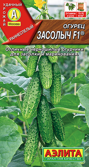 Огурец Засолыч F1 ® Огурец Засолыч F1 ®