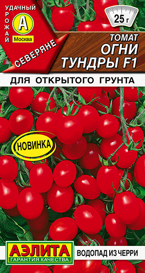 ����� ���� ������ F1