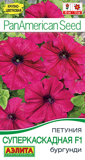 Петуния суперкаскадная F1 бургунди Петуния суперкаскадная F1 бургунди