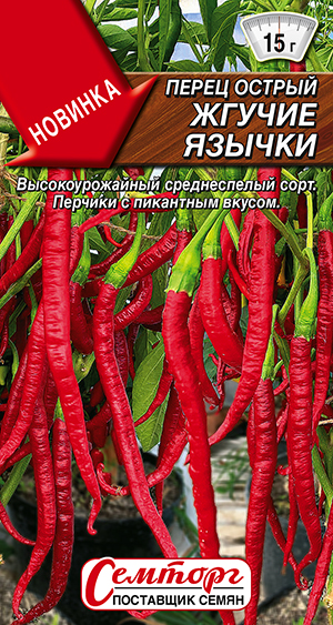 ����� ������ ������ ������