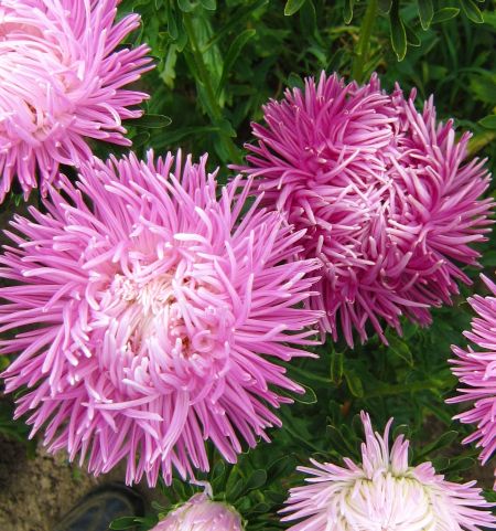 ����� ��������� ������ ���������