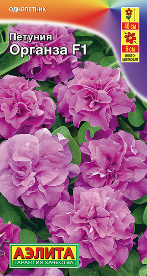 Петуния Органза F1 многоцветковая махровая Петуния Органза F1 многоцветковая махровая