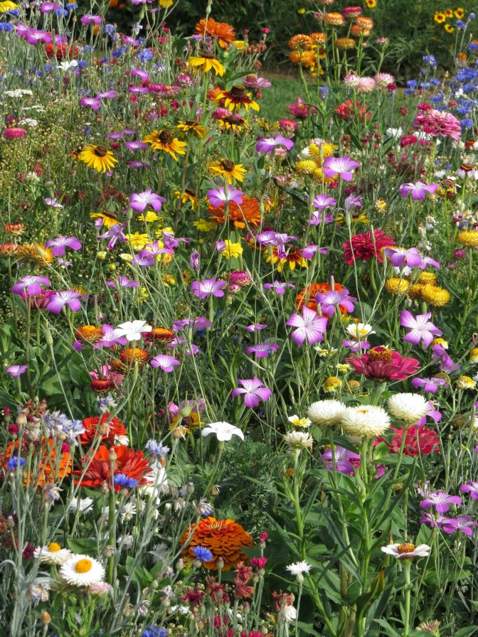 ����� ���������� ��������� ������