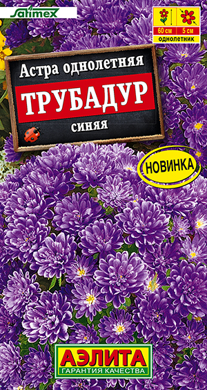 Астра Трубадур синяя Астра Трубадур синяя