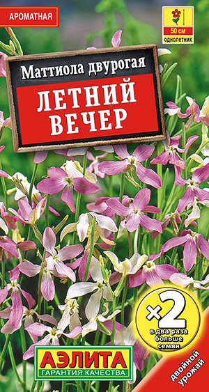 Маттиола Летний вечер Маттиола Летний вечер