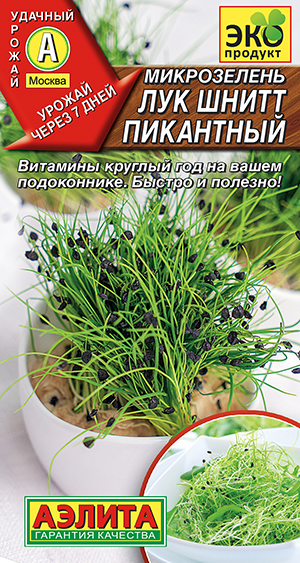 Микрозелень Лук шнитт Пикантный Микрозелень Лук шнитт Пикантный