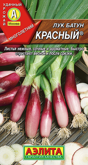 Лук батун Красный ® Лук батун Красный ®
