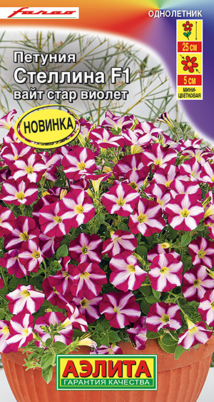 Петуния Стеллина F1 вайт стар виолет Петуния Стеллина F1 вайт стар виолет