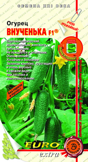 ������ ��������� F1