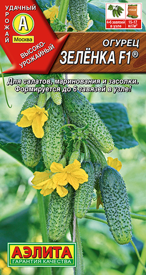 Огурец Зеленка F1 ® Огурец Зеленка F1 ®