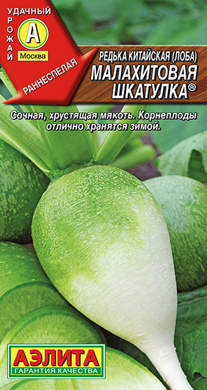 Редька китайская Малахитовая шкатулка Редька китайская Малахитовая шкатулка
