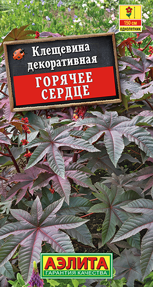 Клещевина Горячее сердце Клещевина Горячее сердце