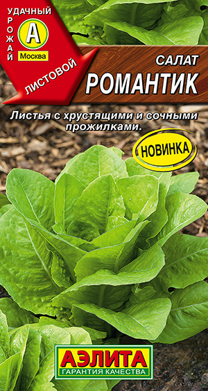 ����� ��������