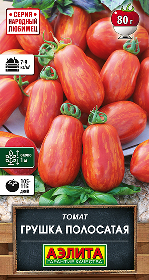 ����� ������ ���������