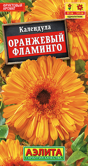 ��������� ��������� ��������