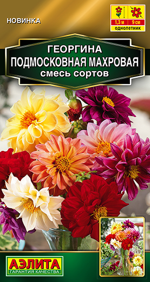 Георгина Подмосковная махровая, смесь сортов Георгина Подмосковная махровая, смесь сортов