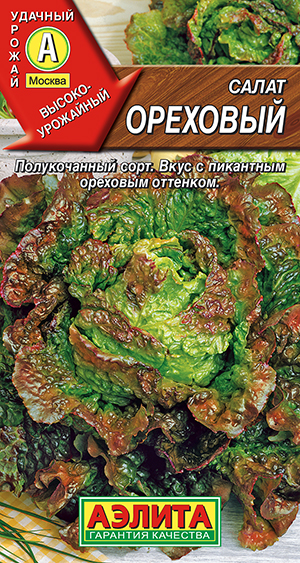 ����� �������� ������������