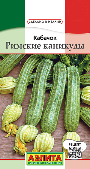 Кабачок цуккини Римские каникулы Кабачок цуккини Римские каникулы