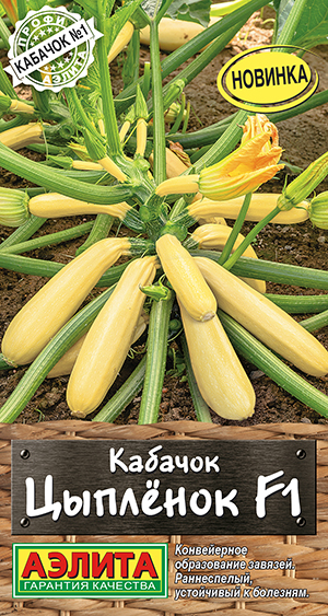 Кабачок цуккини Цыпленок F1 Кабачок цуккини Цыпленок F1