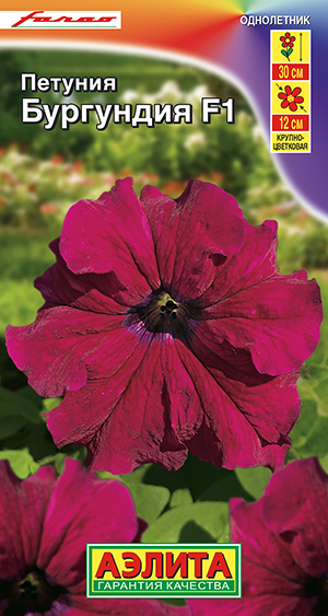 Петуния Бургундия F1 крупноцветковая Петуния Бургундия F1 крупноцветковая