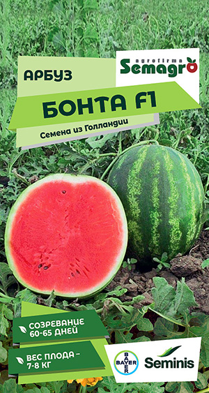 Арбуз Бонта F1 Арбуз Бонта F1