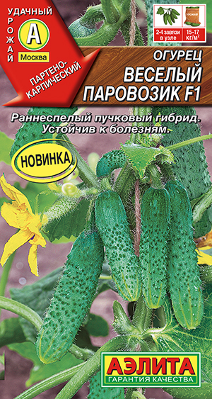 ������ ������� ��������� F1