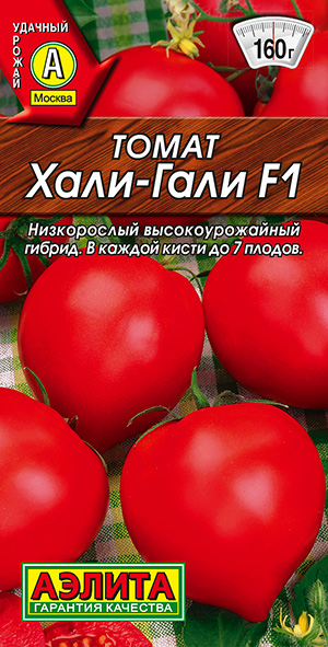 ����� ����-���� F1