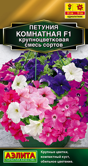 Петуния Комнатная F1 крупноцветковая, смесь сортов Петуния Комнатная F1 крупноцветковая, смесь сортов